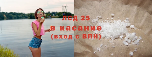 трава Наволоки