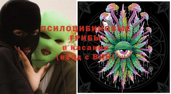 PSILOCYBIN Навашино