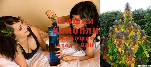 трава Наволоки