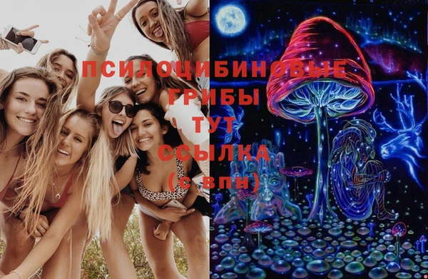 трава Наволоки