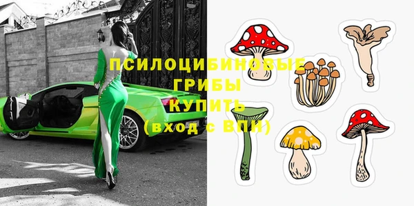 СК Михайловка