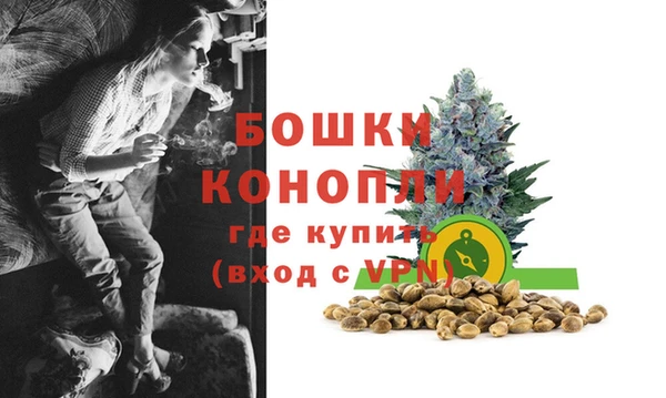 трава Наволоки