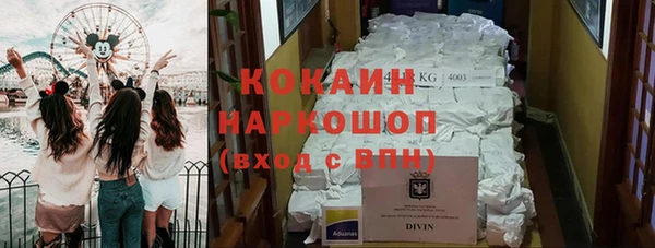 трава Наволоки