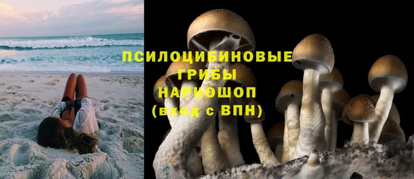 соль ск Надым