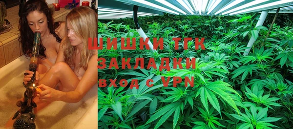 трава Наволоки
