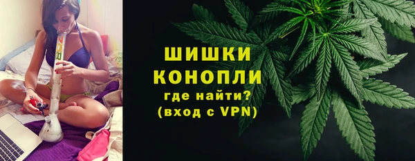 трава Наволоки