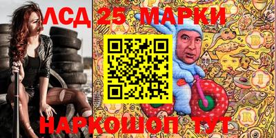 apvp Гатчина
