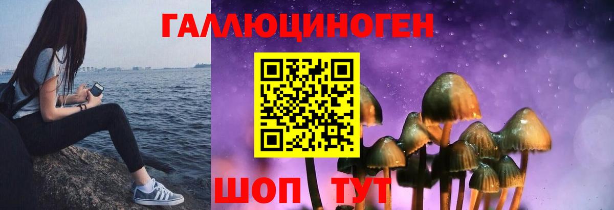 Псилоцибиновые грибы мицелий Красногорск